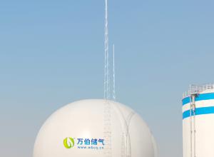 ��˫Ĥ����WD65