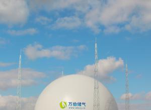 �����˫Ĥ������WD68