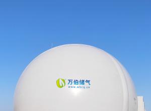 �����˫Ĥ����WD68