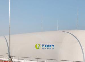 ��˫Ĥ������WD65