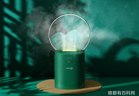冬天干燥用加湿器对身体有害吗3